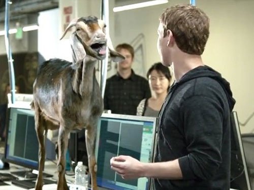  Mark Zuckerberg i koza koja vrišti u reklami za Facebook Home
